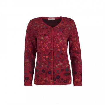 Cardigan flower, Red